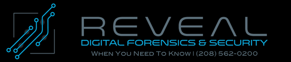 Reveal Digital Forensics & Security